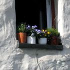 Fenster in der Stadtmauer: Vorsicht Lachlawinen!