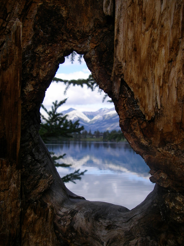 Fenster in die Natur