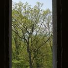 Fenster in die Natur