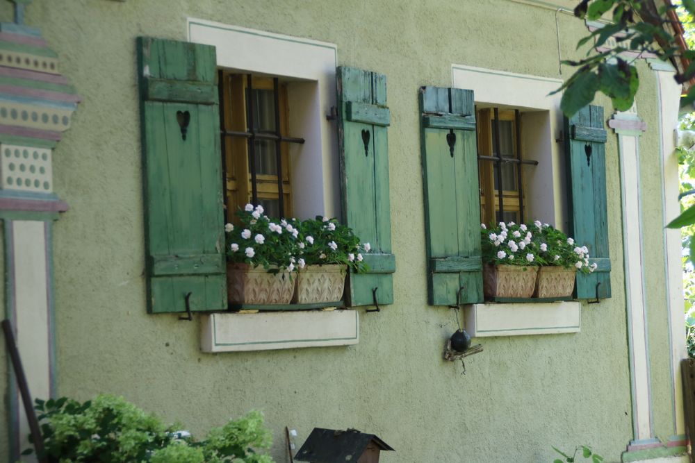 Fenster in die Natur