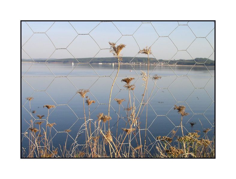 Fenster in die Natur