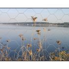 Fenster in die Natur