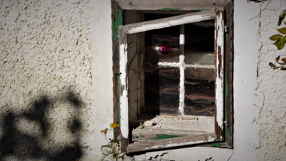 Bilder von Lovisa Mannheim: Ein Fenster in die Vergangenheit