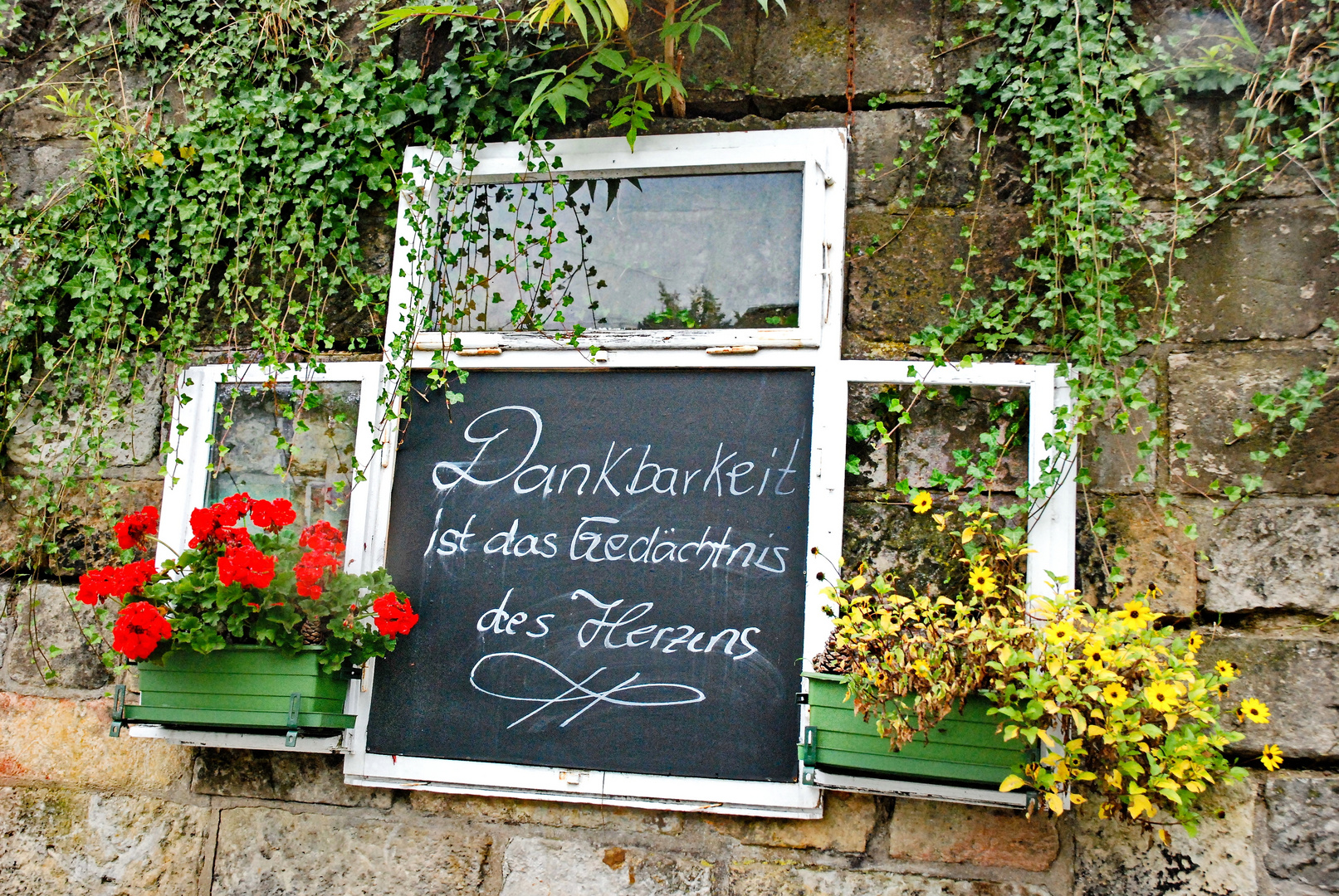 Fenster in Dresden