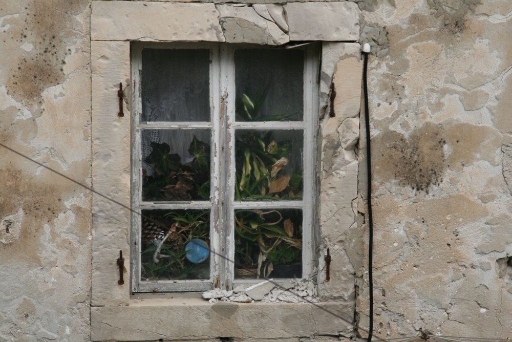 Fenster in Dubrovnik