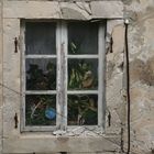 Fenster in Dubrovnik