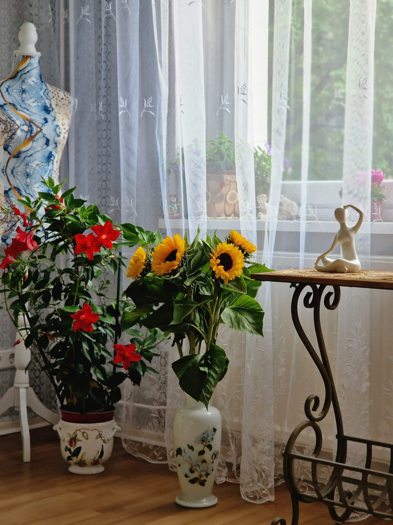 Fenster in einer Wohnung