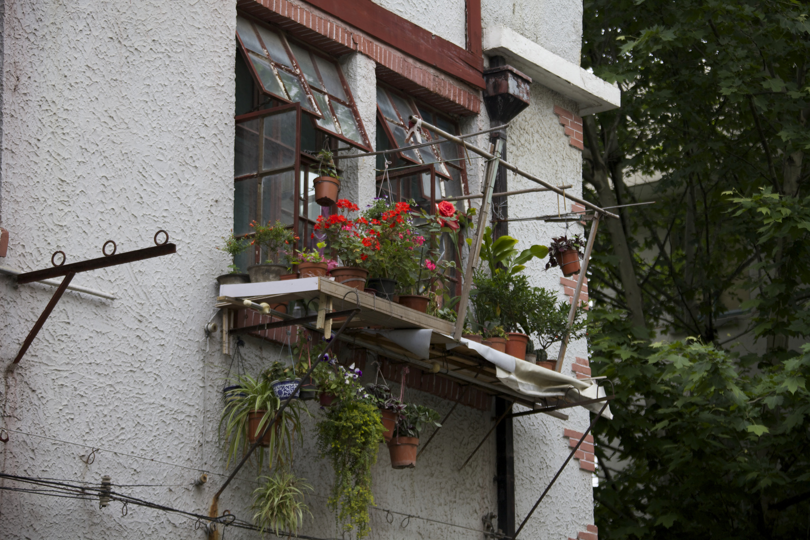 Fenster in French Concession