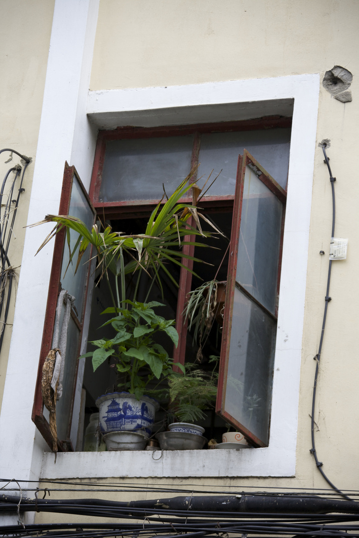 Fenster in French Concession (I)