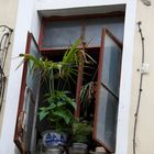 Fenster in French Concession (I)