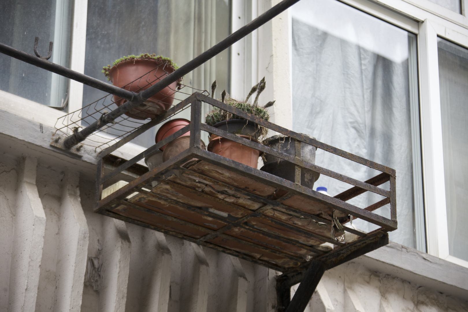 Fenster in French Concession (III)