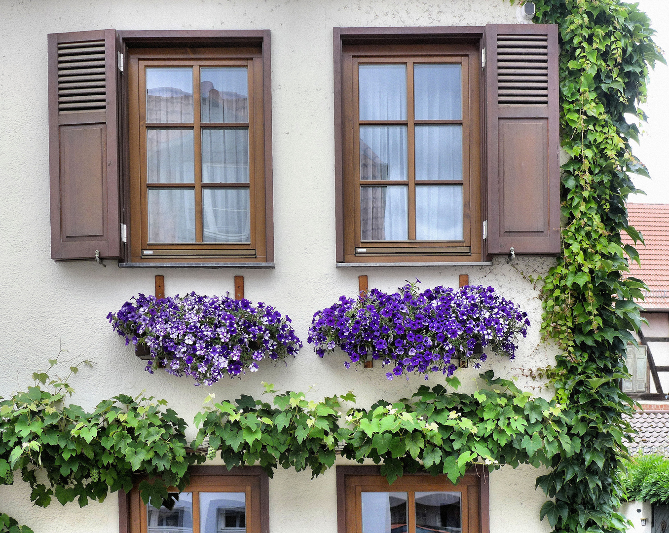 Fenster in Idstein 