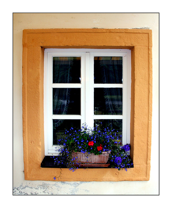 Fenster in Krems