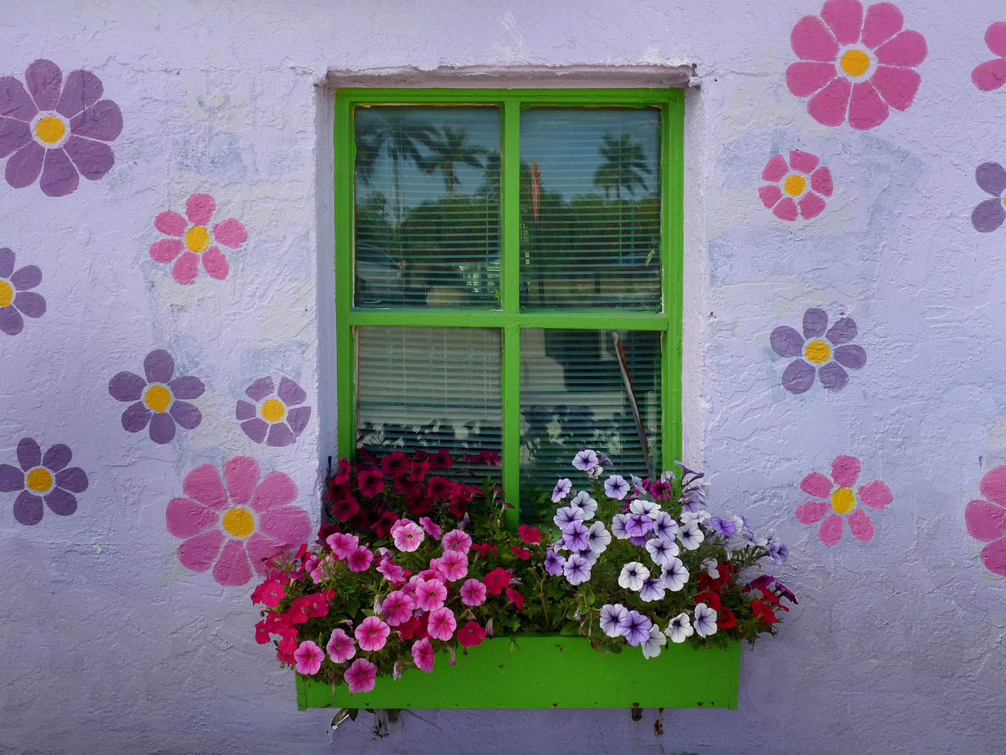 Fenster in Matlacha, Pine Island, Südflorida