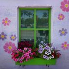 Fenster in Matlacha, Pine Island, Südflorida