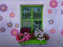 Fenster in Matlacha, Pine Island, Südflorida