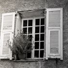 Fenster in Nizza