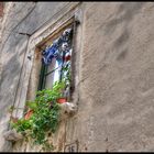 Fenster in Rovinj