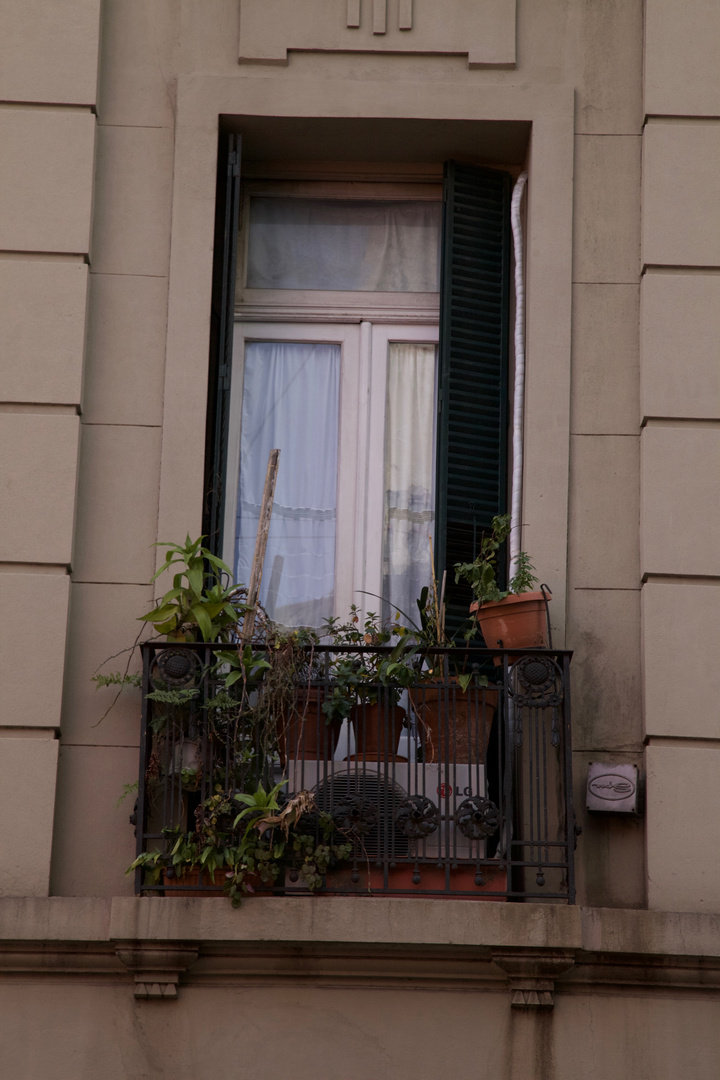 Fenster in San Telmo ....