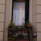 Fenster in San Telmo ....