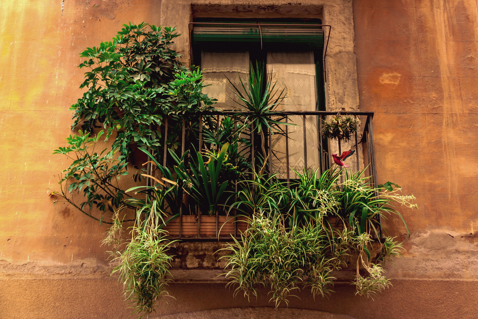 Fenster in Spanien