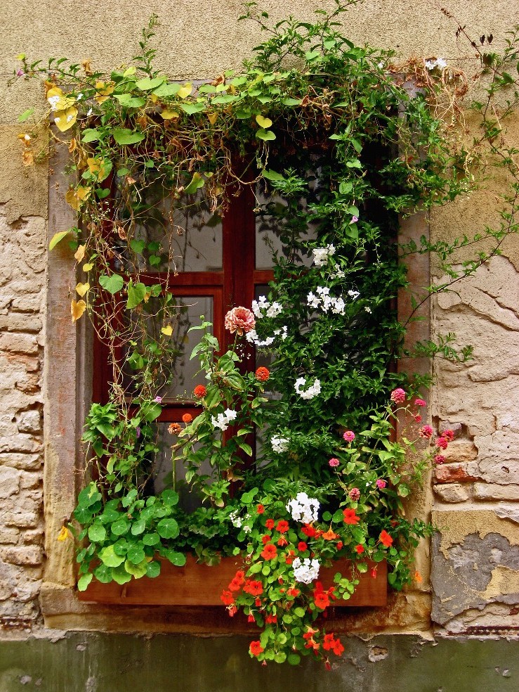 Fenster in Speyer