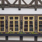 Fenster in Wernigerode