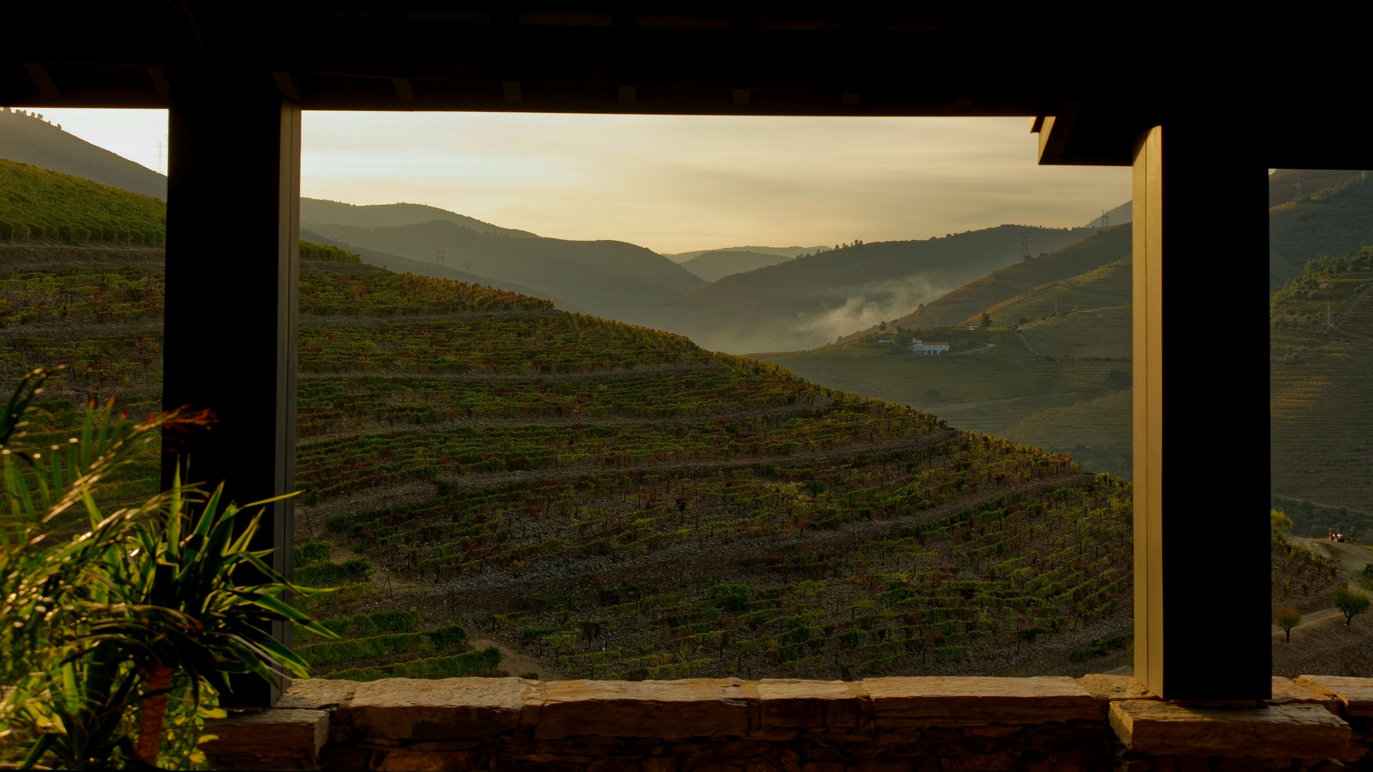 Fenster ins Douro-Tal