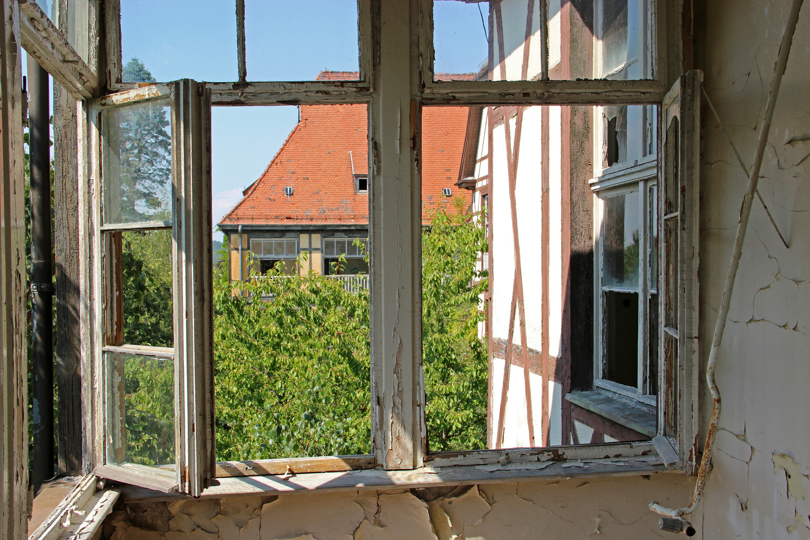 Fenster ins Grüne