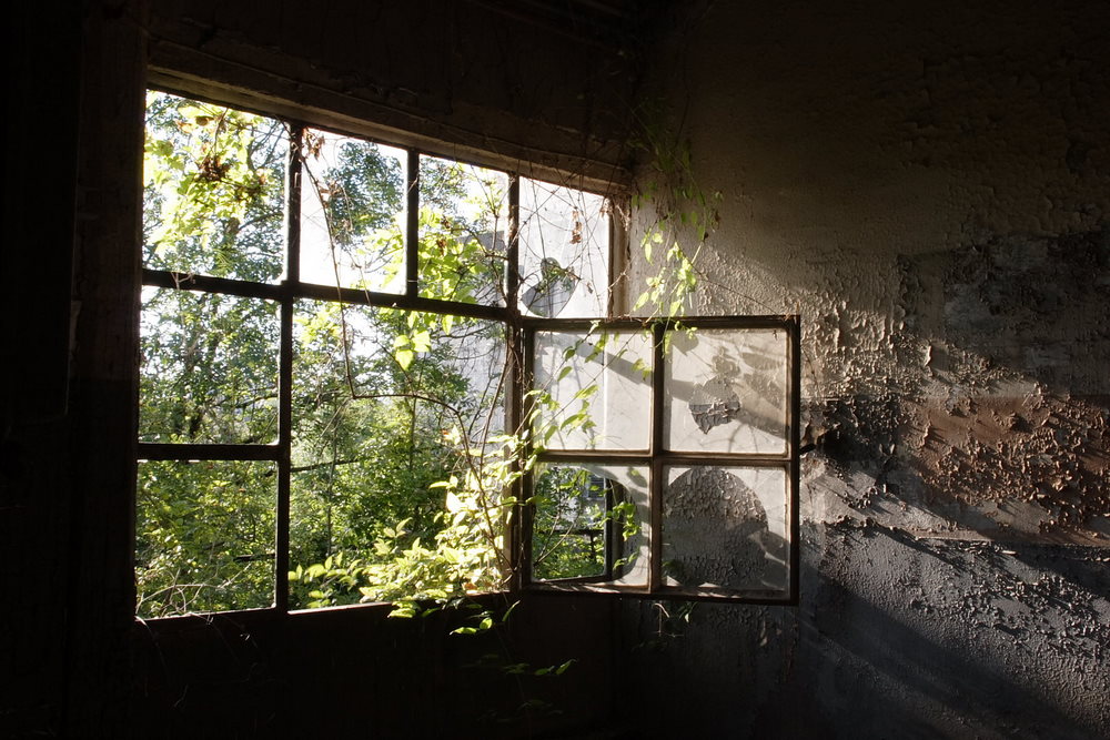 Fenster ins Grüne Foto &amp; Bild industrie und technik