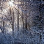 Fenster ins Licht