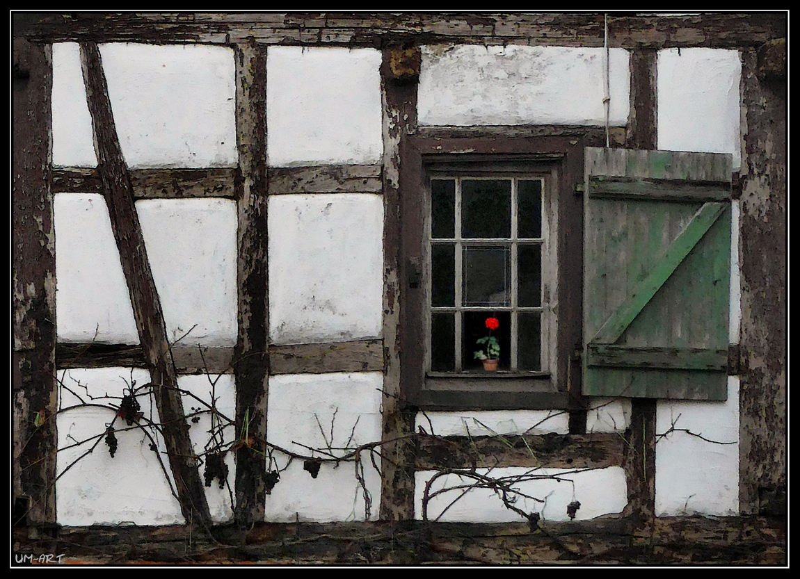 Fenster mit Akzent...