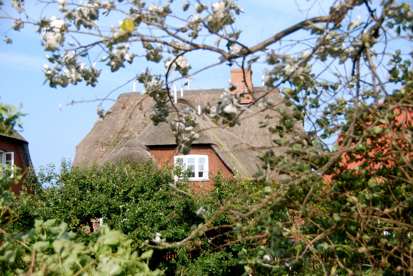 Fenster mit Ausblick