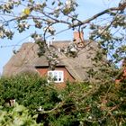 Fenster mit Ausblick