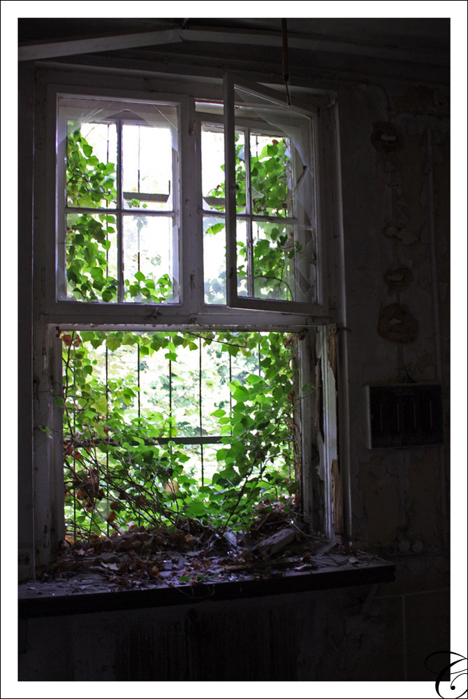 Fenster Mit Ausblick Foto Bild Architektur Lost Places Wirtschaftswunden Bilder Auf Fotocommunity
