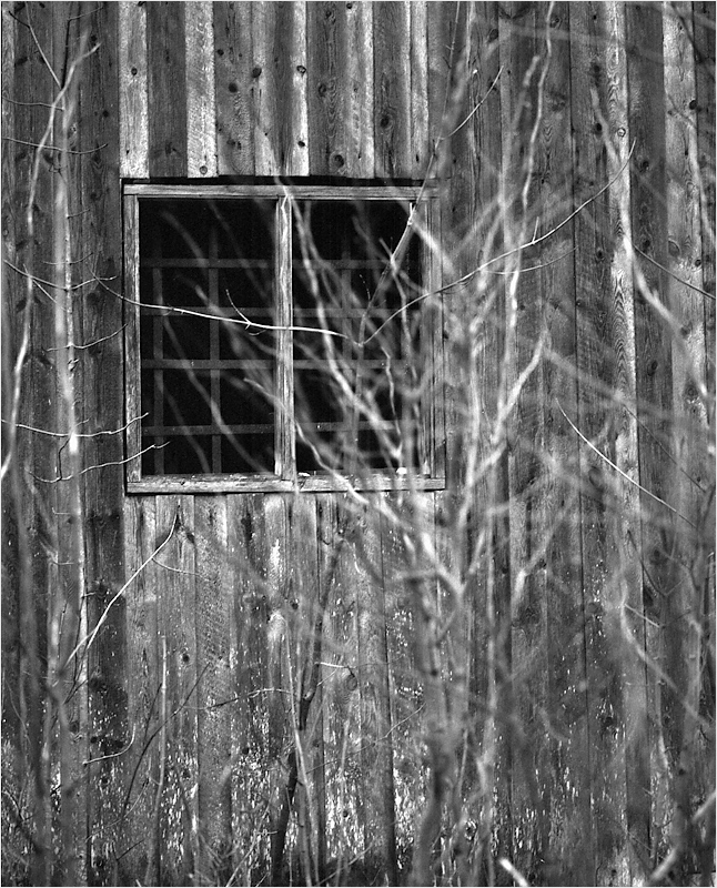 Fenster mit Ausblick