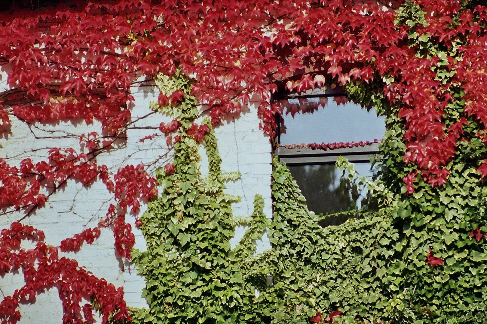 Fenster mit Aussicht