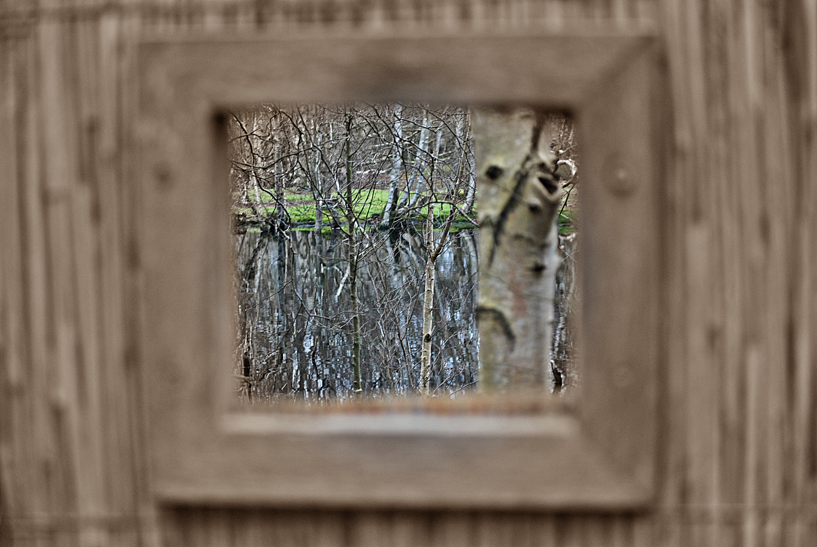 Fenster mit Aussicht...