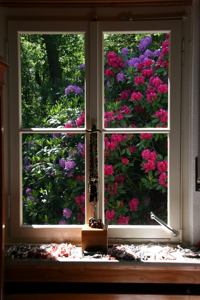 Fenster mit Aussicht Foto & Bild archiv projekte