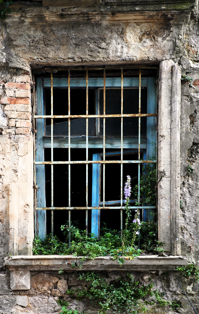 Fenster mit Aussicht 