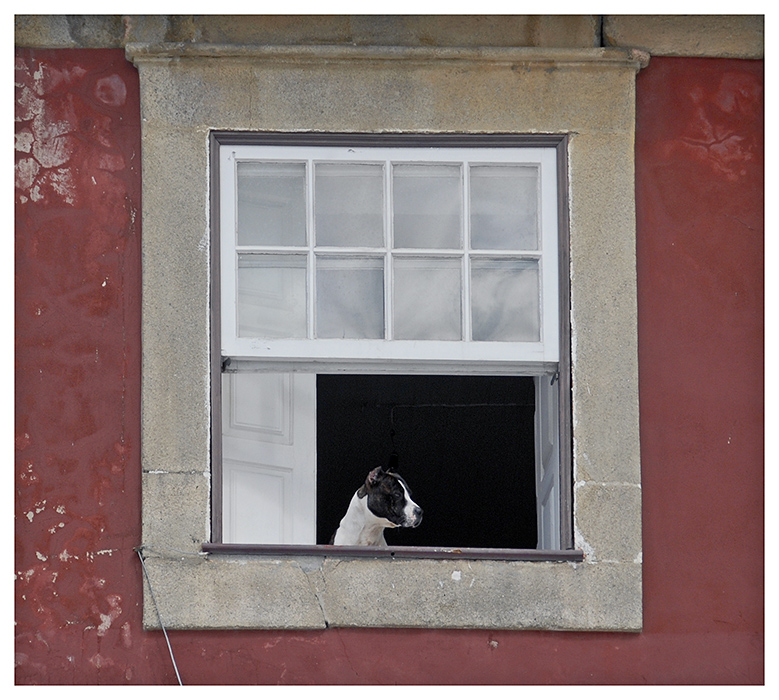 Fenster mit Aussicht