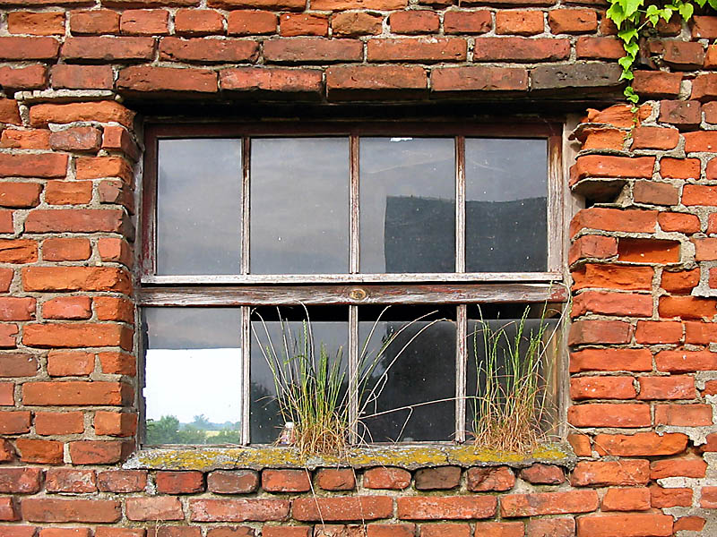 Fenster mit Aussicht
