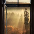 * Fenster mit Aussicht 