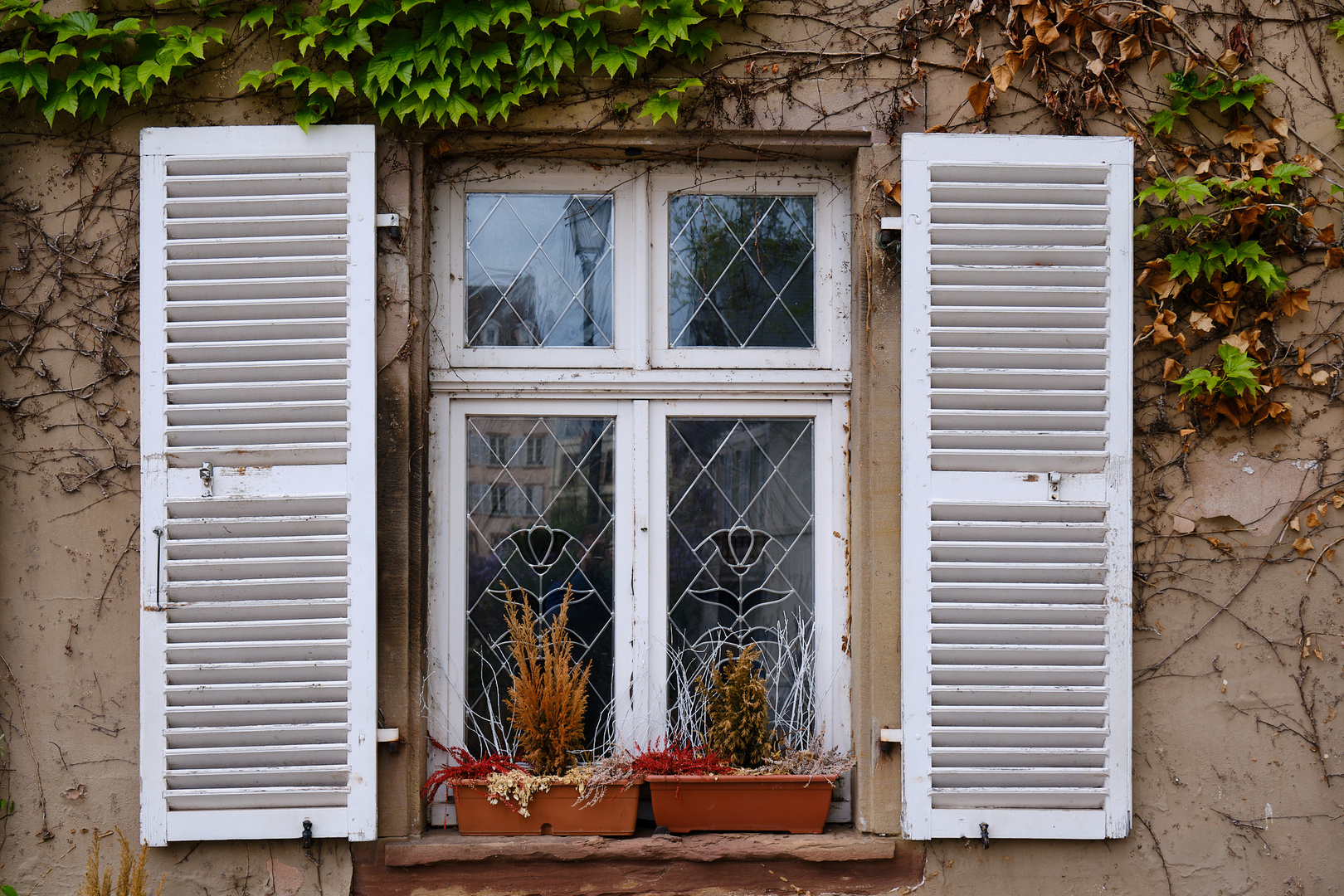 Fenster mit Blick zur Altstadt ...