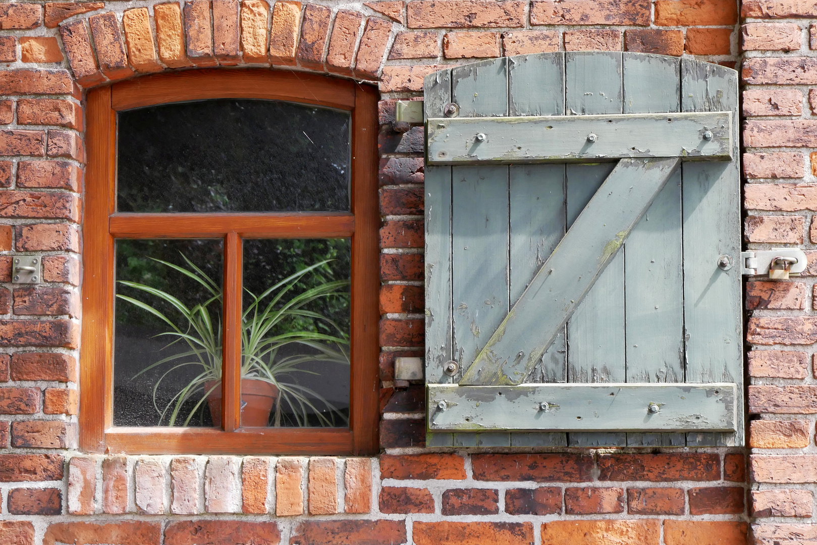 Fenster mit Blume