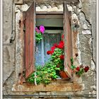 Fenster mit Blumen