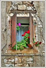 Fenster mit Blumen