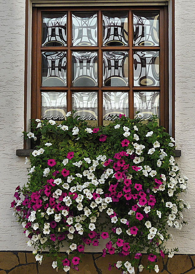 Fenster mit Blumen