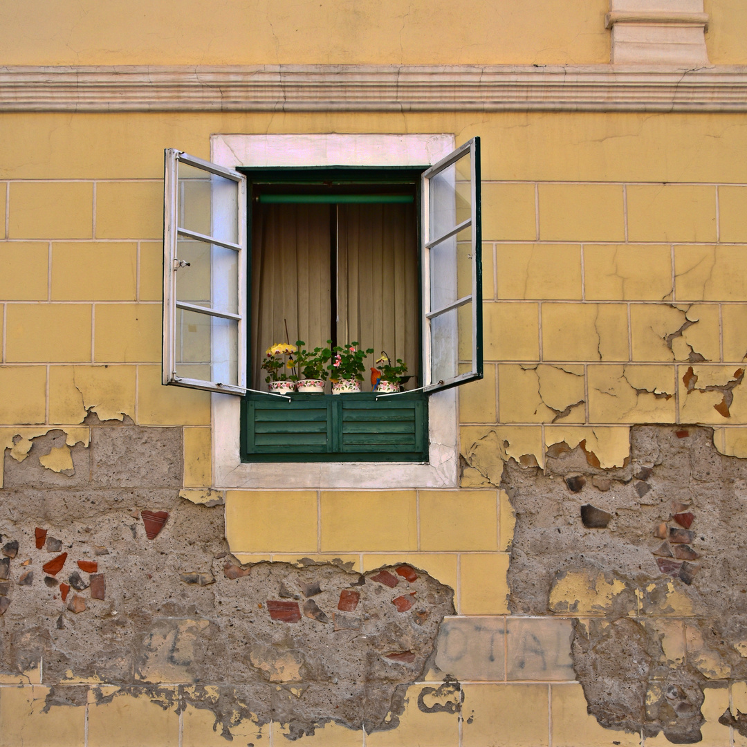 Fenster mit Blumen.