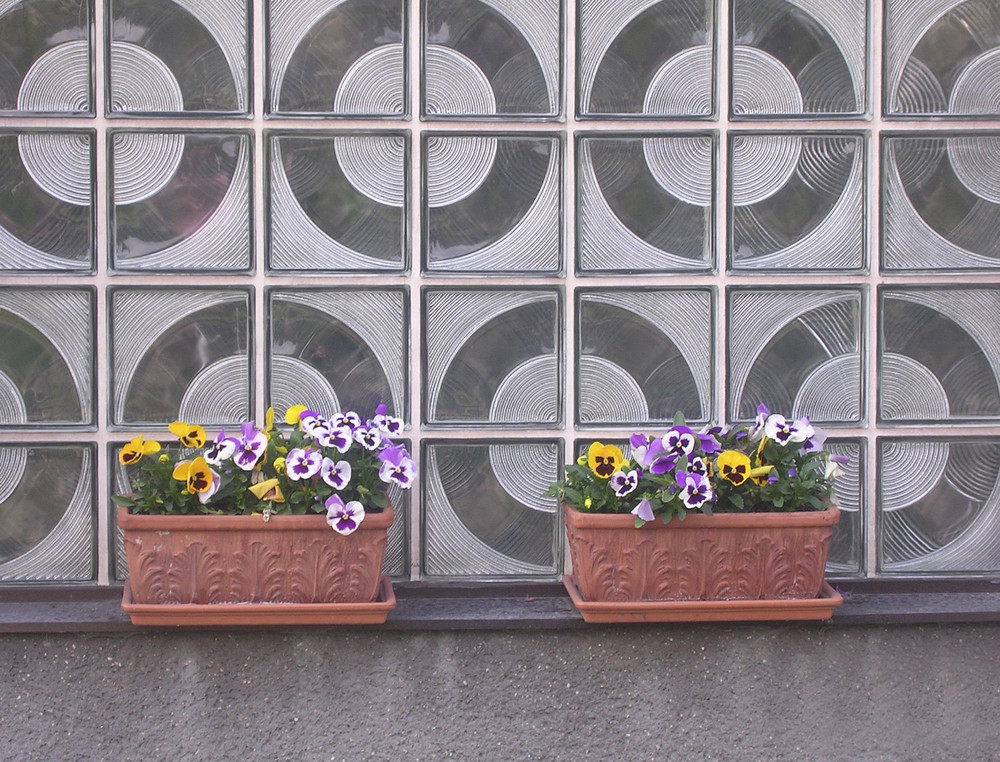 Fenster mit Blumen